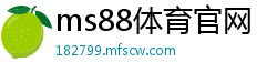 ms88体育官网